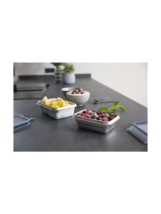 Tefal Masterseal Cutie pentru Mâncare Inox Gri 800ml 1buc