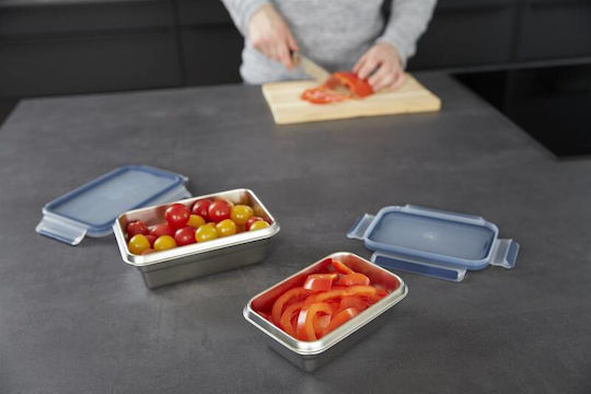 Tefal Inox Lunch Box Masterseal Gray 800ml
