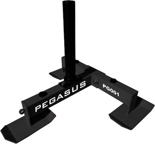 Pegasus 393600101 Motorschlitten