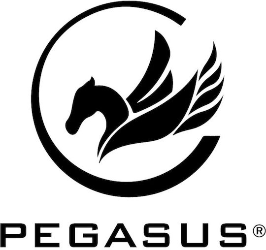 Pegasus 393600101 Motorschlitten