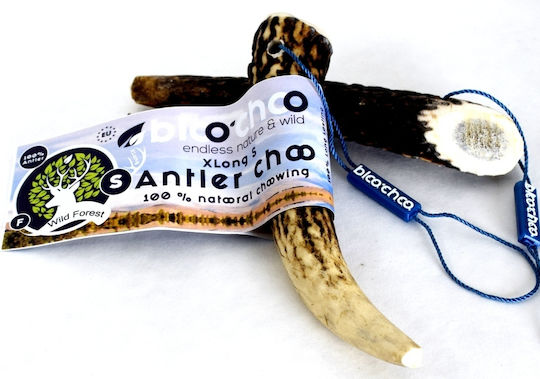 Antler Bloochoo Κέρατο Σκύλου Μικρόσωμων Φυλών από Ελάφι 50gr