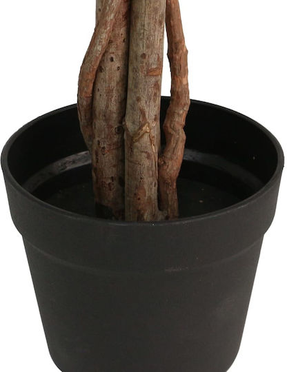 Zitronenbaum Im Freien 120cm vidaXL