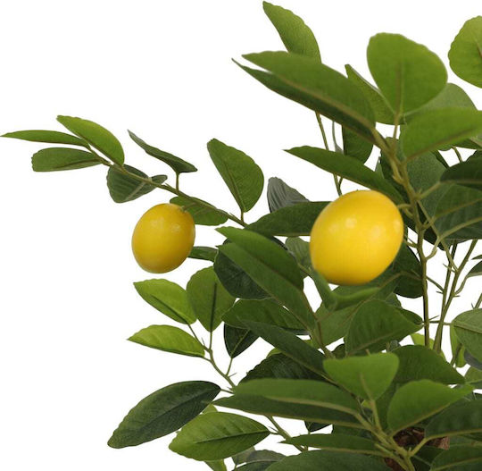 Zitronenbaum Im Freien 120cm vidaXL