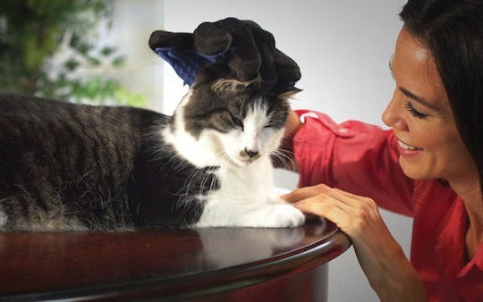 True Touch Handschuh für langhaarige Hunde zur Haarentfernung