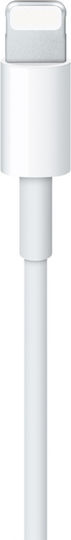Редовна USB-C към Lightning кабел 20W Бял 0.5м (CO2-0151)