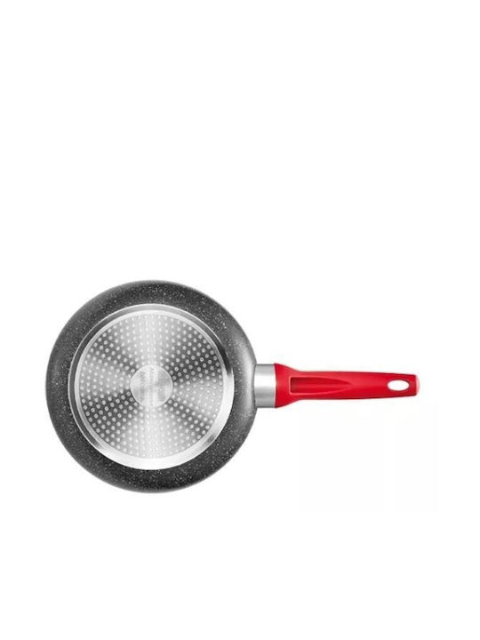 Tescoma Pan aus Aluminium mit Antihaftbeschichtung 24cm