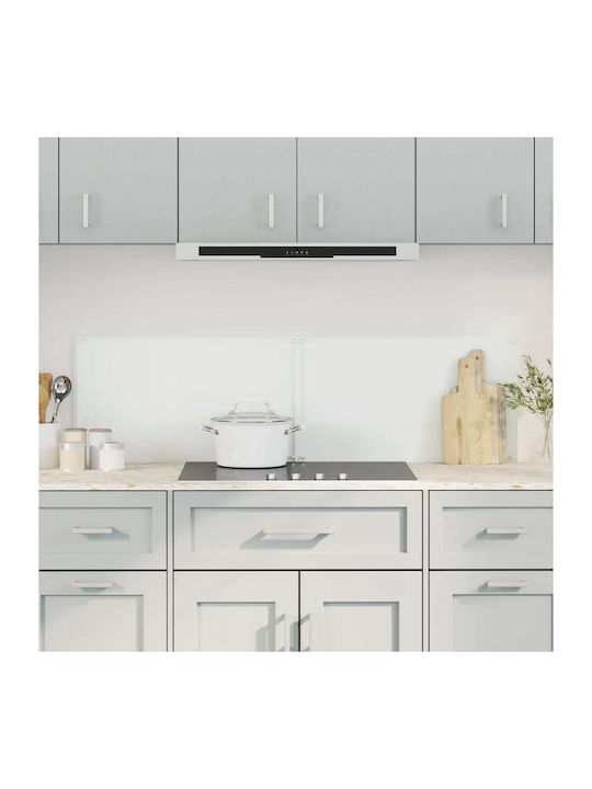 vidaXL Rectangular Back Made of Glass in Transparent Color 70x40cm 3315789 2 Pieces