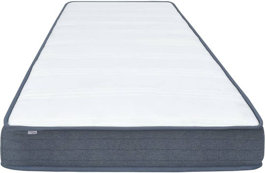 vidaXL Double Anatomic Saltea 140x190x20cm