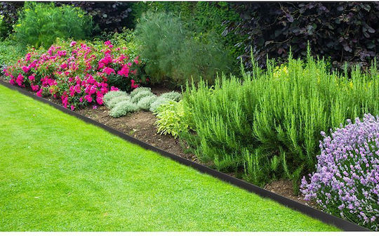 Bradas Plastic Garden Hedge Lawn Divider in Green Color