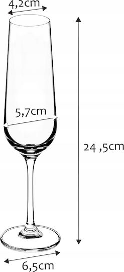 Kadax Set Brillen Champagner Kelch Glas 200ml 6 Stück