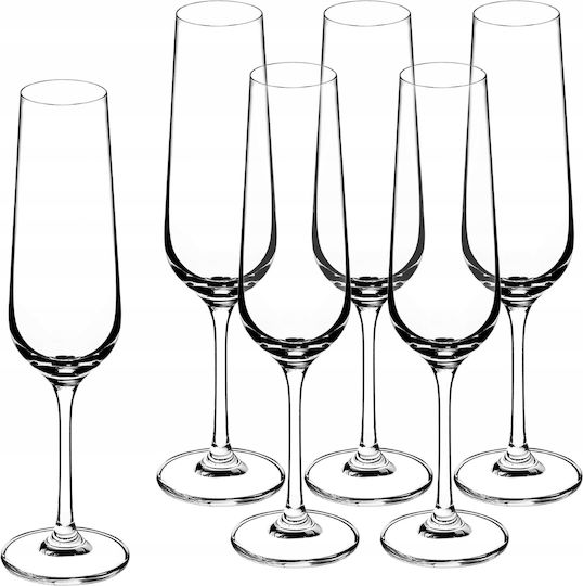 Kadax Set Brillen Champagner Kelch Glas 200ml 6 Stück