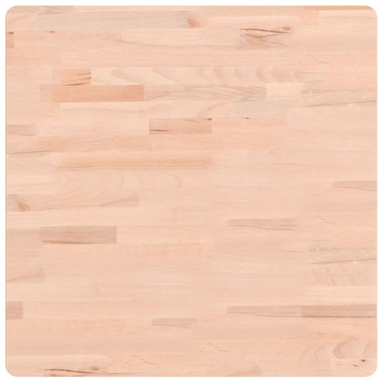 vidaXL Waschtisch ohne Waschbecken L60xB60xH2.5cm Beech
