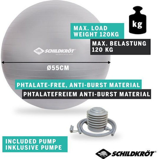 Schildkrot Ball Pilates 55cm in Silber Farbe