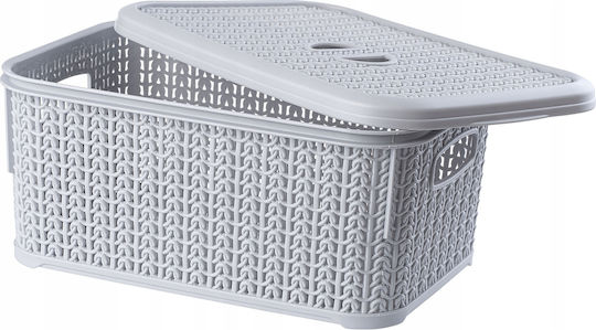 Kadax Coș de Depozitare Plastic cu capac Gri 6lt 2buc