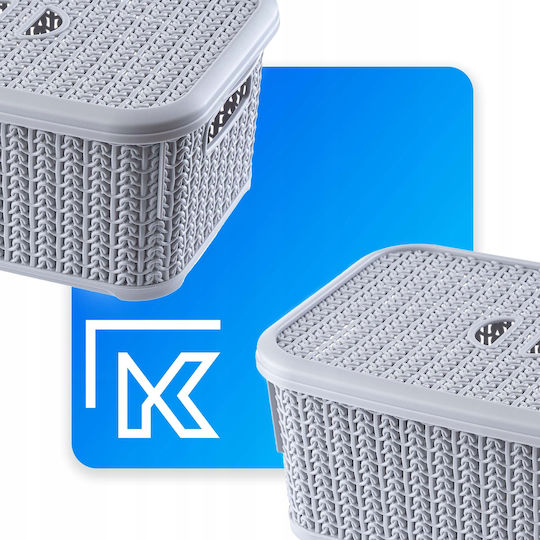 Kadax Coș de Depozitare Plastic cu capac Gri 6lt 2buc