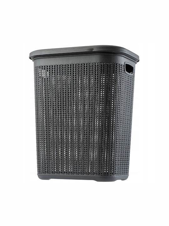 Kadax Coș De Rufe Din Plastic 50L Cu Capac Gri