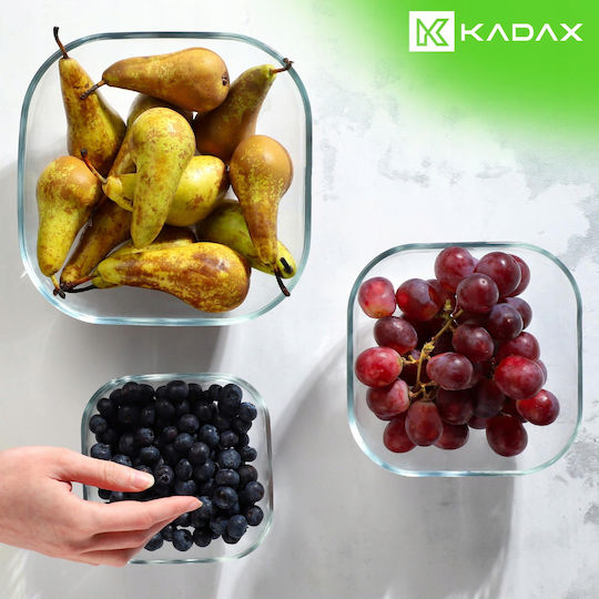 Kadax 31648 Γυάλινη