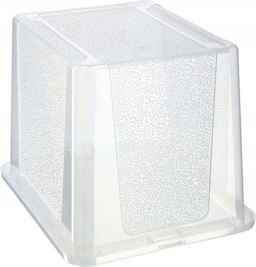 Kadax Kunststoff Aufbewahrungsbox mit Deckel Transparent 30Es 1Stück