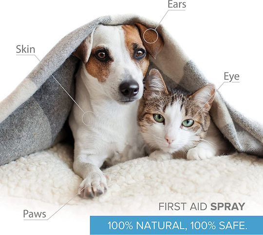 Institut Katharos Dog Mouth Wash 300ml