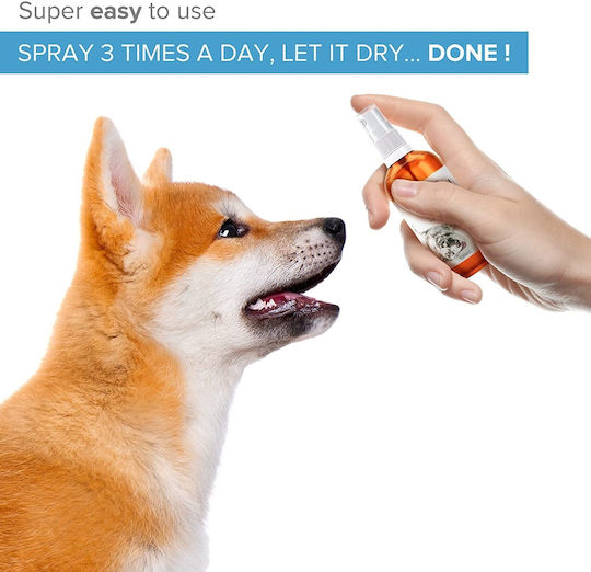 Institut Katharos Dog Mouth Wash 300ml