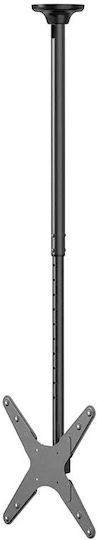 Neomounts FPMA-C340BLACK Fernsehhalterung Decke mit Arm bis 75" und 50kg