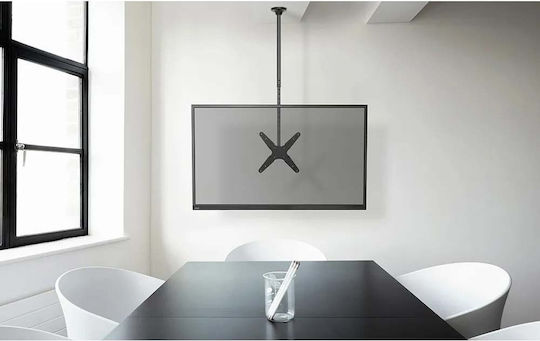 Neomounts FPMA-C340BLACK Fernsehhalterung Decke mit Arm bis 75" und 50kg