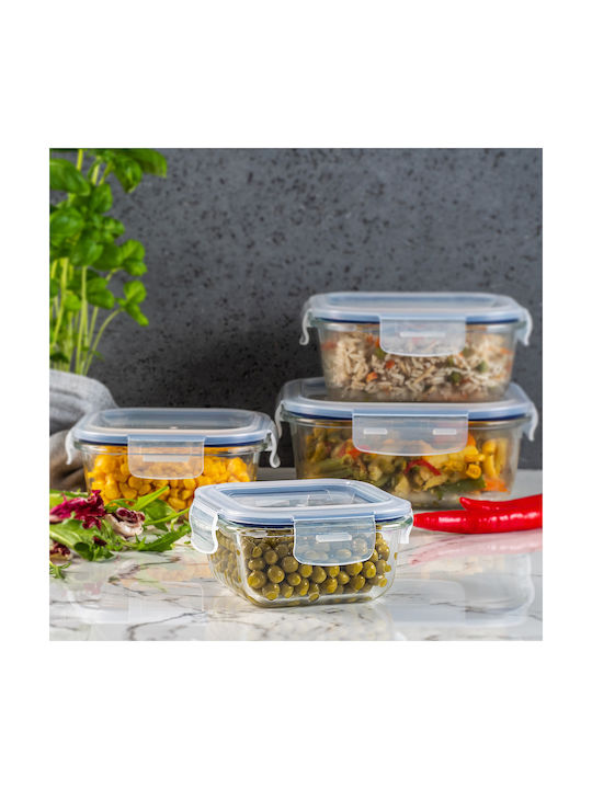 Kadax Glass Lunch Box Transparent 320ml