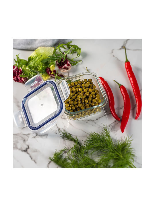 Kadax Glass Lunch Box Transparent 320ml