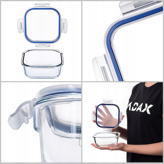 Kadax Glass Lunch Box Transparent 520ml