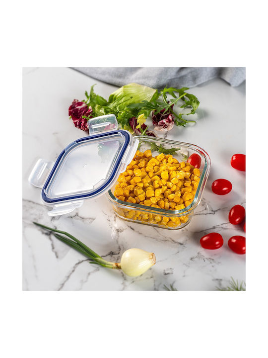 Kadax Glass Lunch Box Transparent 520ml