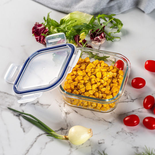 Kadax Glass Lunch Box Transparent 520ml