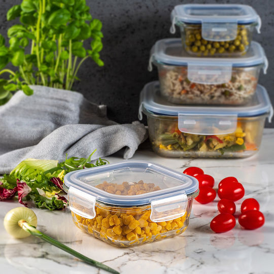 Kadax Glass Lunch Box Transparent 520ml