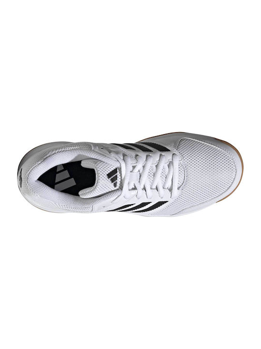 Speedcourt Sport Shoes Volleyball White