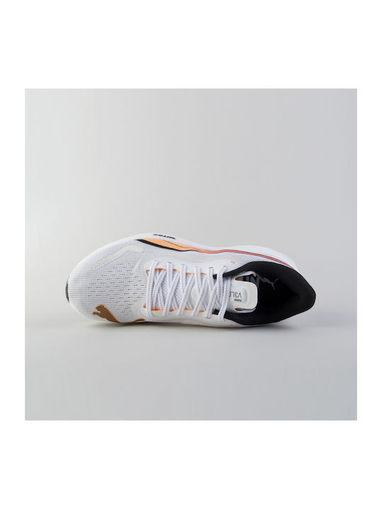 Velocity Nitro 3 Sport Shoes Running White - Orange