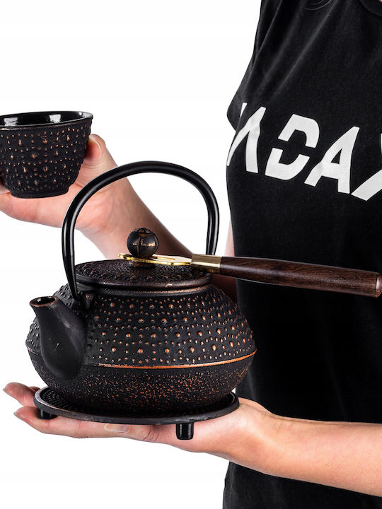 Kadax Ceainic Cu Cană Din Fontă Negru 800ml