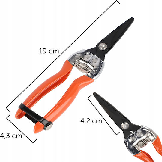 Kadax Ψαλίδι Τρύγου Μήκους 19cm