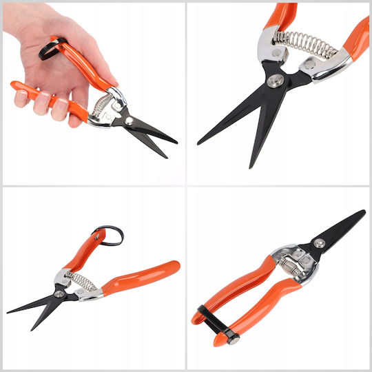 Kadax Ψαλίδι Τρύγου Μήκους 19cm