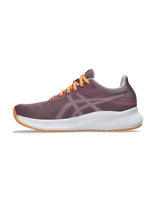 Patriot 13 Sport Shoes Running Purple