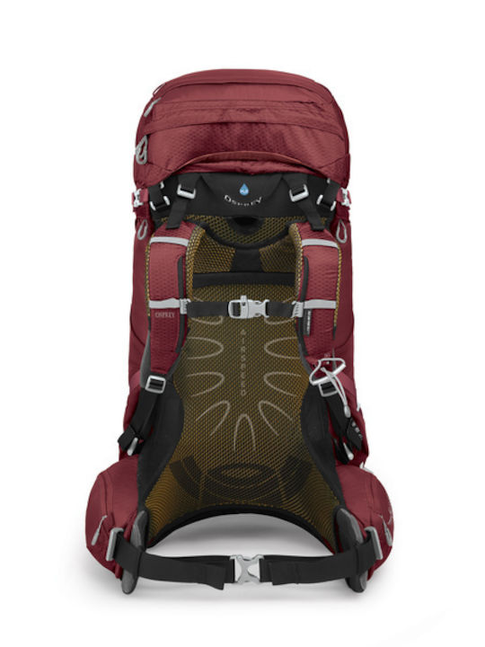 Osprey Aura Ag 65 Rucsac de alpinism 65lt Violet
