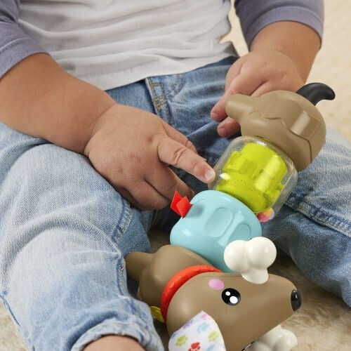 Fisher Price Click & Spin Σκυλακι Δραστηριοτητων #htw91
