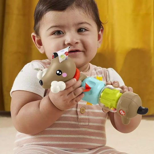 Fisher Price Click & Spin Σκυλακι Δραστηριοτητων #htw91