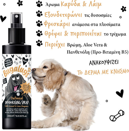 Hafer-Deodorant-Spray Kokosnuss- & Limettenduft für Hunde 200ml