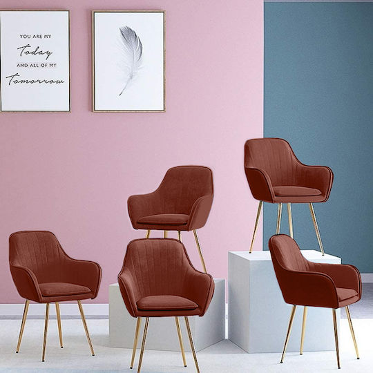 Glenda Dining Room Velvet Chair Rotten Apple 59x56x86cm 2pcs