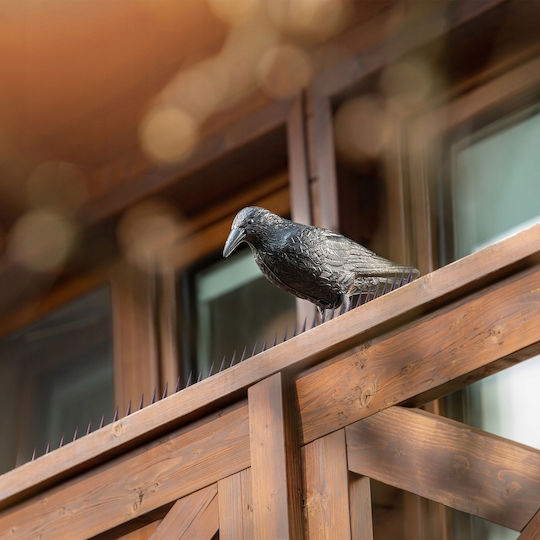 Kadax Abwehrspitzen Vögel