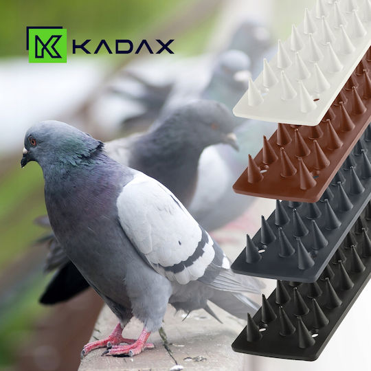 Kadax Abwehrspitzen Vögel / Katzen / Nagetiere 5x5m