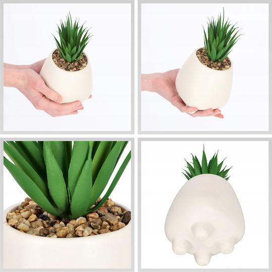 Succulent Plant in Pot White 10.5cm Kadax