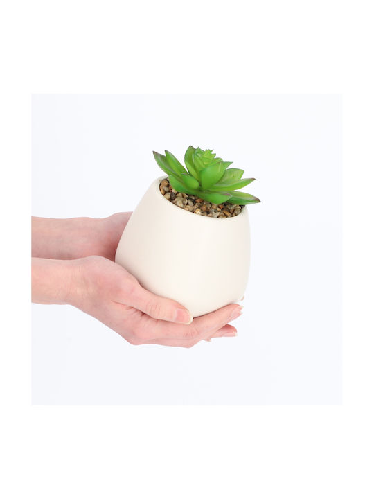 Plantă Artificială în Ghiveci Mic Planta suculentă White 10.5cm Kadax