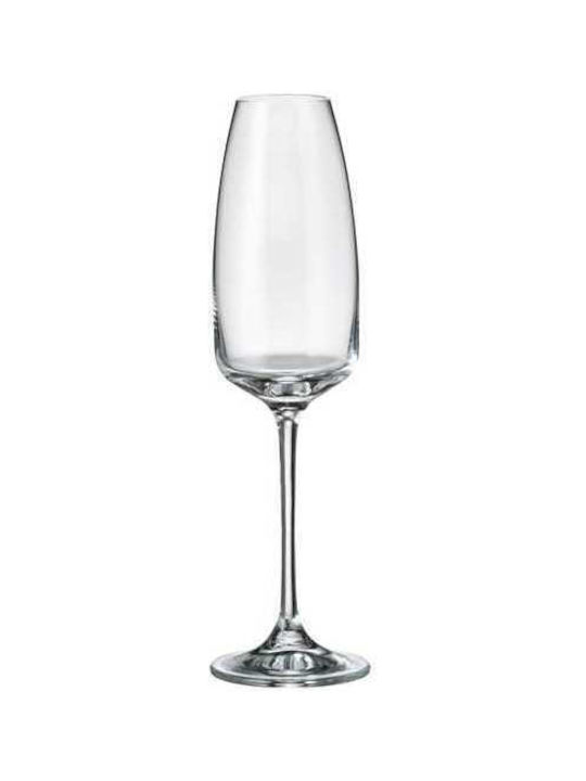 Bohemia Anser Glas Champagner aus Kristall Kelch 290ml 0802836