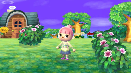 Animal Crossing New Leaf Welcome Amiibo 3DS Game
