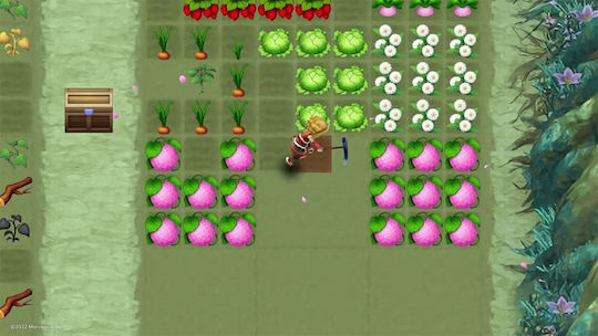 Rune Factory 3 Special Limited Издание Игра за Switch